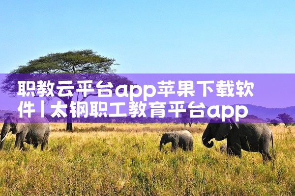 职教云平台app苹果下载软件