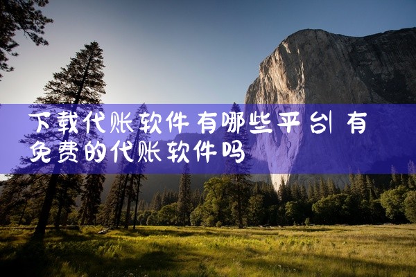 下载代账软件有哪些平台