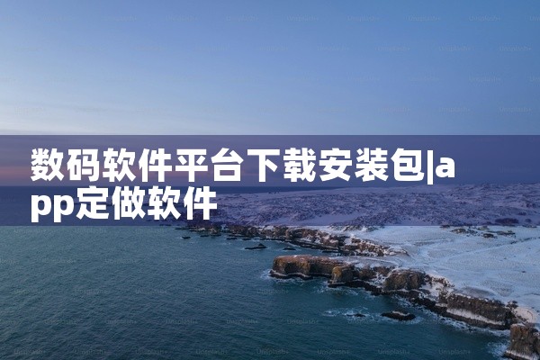 数码软件平台下载安装包