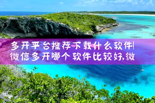多开平台推荐下载什么软件