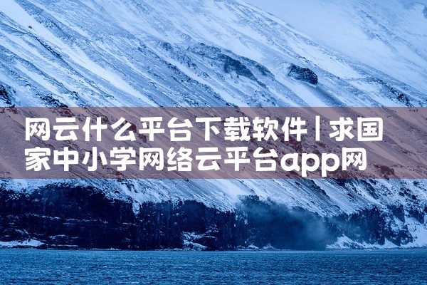 网云什么平台下载软件