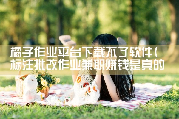 橘子作业平台下载不了软件
