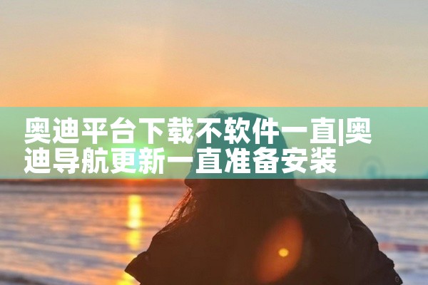 奥迪平台下载不软件一直