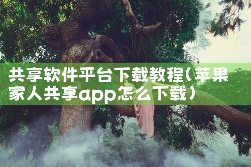 共享软件平台下载教程