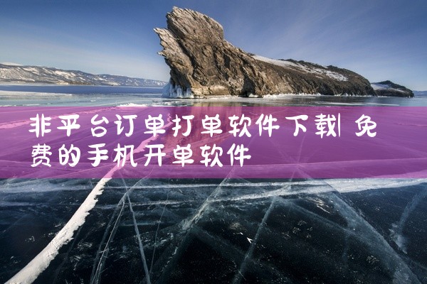 非平台订单打单软件下载