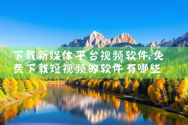 下载新媒体平台视频软件