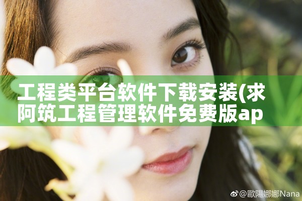工程类平台软件下载安装